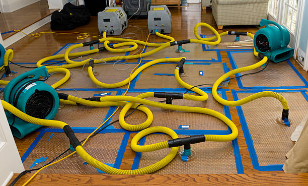 Professional Basement Flood Cleanup technician working in Zumbro Falls, MN